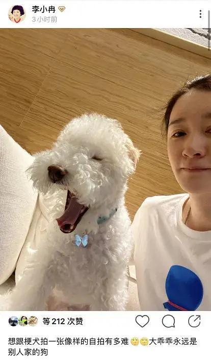 脱下中老年扮相后 44岁李小冉晒素颜照 皮肤白皙状态清新可人