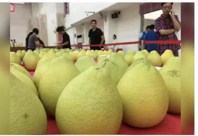 7類藥別搭柚子一起吃!醫師:隔餐吃也不好 1 7類藥別搭柚子一起吃!醫師:隔餐吃也不好
