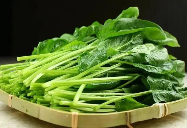 腸道 人體的「第二大腦」 秋季排腸毒 少吃三肉 補充四菜