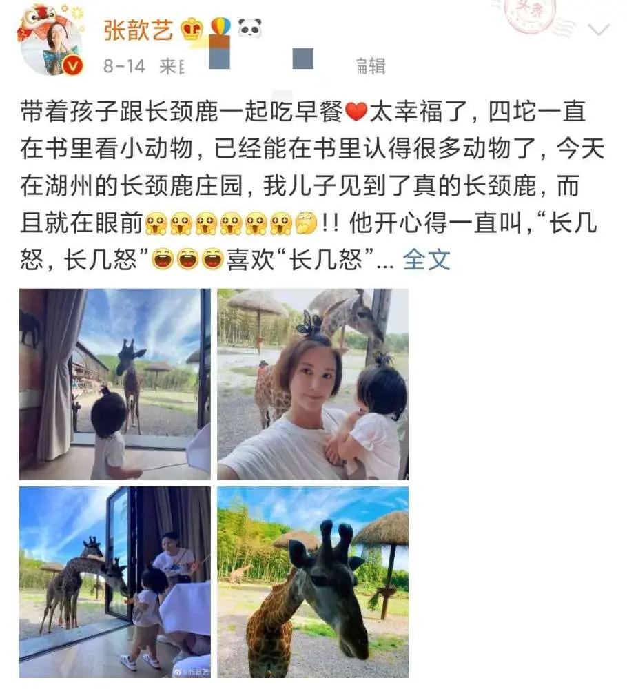 张歆艺深夜送节日祝福 晒一家三口合影照 带着儿子给门卫送礼物超暖心