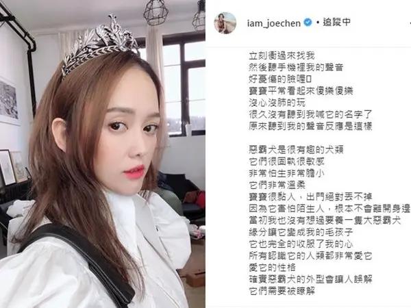 陈乔恩反对禁养恶霸犬 心疼晒毛孩:我的宝宝敏感胆小
