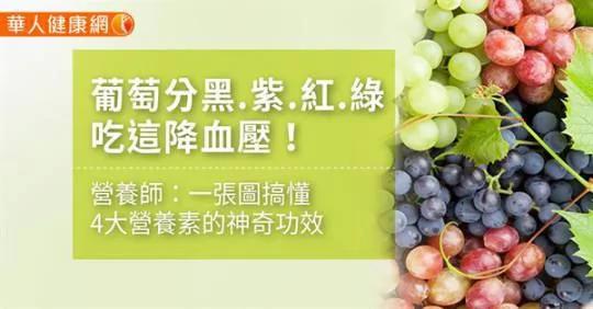 葡萄分黑、紫、紅、綠 吃這降血壓！營養師：一張圖搞懂4大營養素的神奇功效