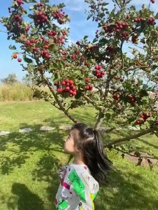 章子怡晒汪峰背女儿游玩 心疼老公旅途太累赞他好爸爸