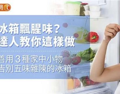 生活窍门- 电冰箱的妙用（69则） ＊ 阿波罗新闻网
