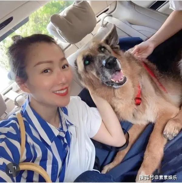 许志安陪郑秀文购物 爱犬离世后夫妻共度难关 越来越恩爱了