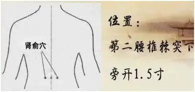 保护肾脏健康 坚持做好“五个一”