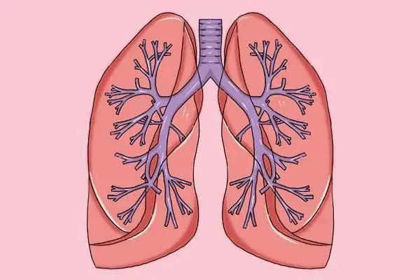 早上4個習慣 容易損傷肺健康 肺不好了 3種表現不會騙人