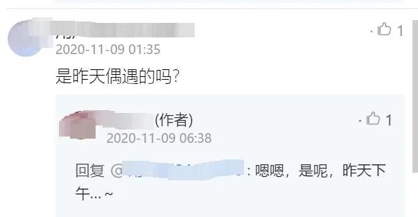 贾乃亮陪甜馨挑战儿童极限运动 全程仰头安抚女儿 获路人夸赞