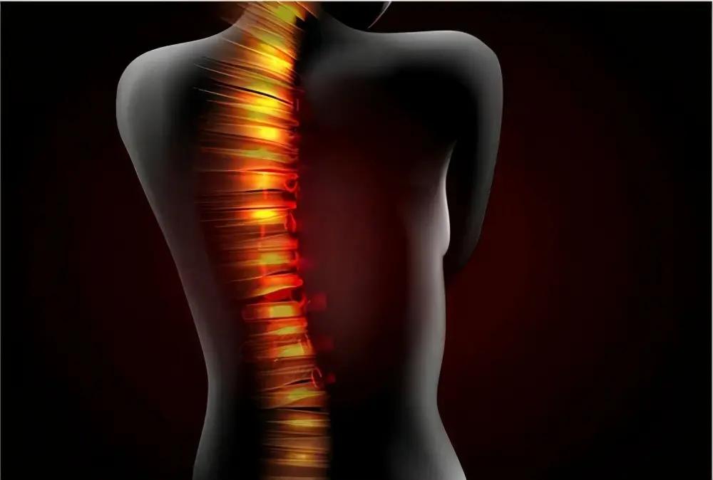 腰痛不僅僅只是腰椎間盤突出 您的腰痛屬哪一種？