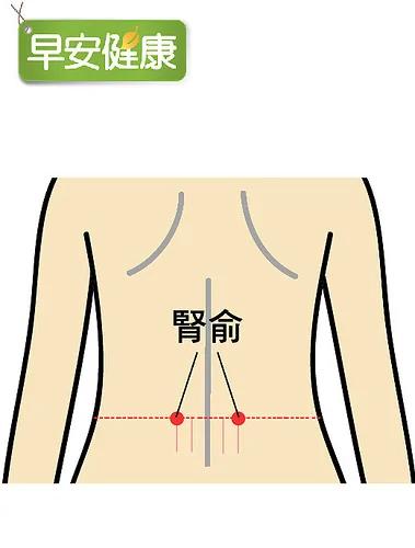 加班过度不只爆肝更伤肾!肾脏是否过劳 按这1穴道检查同时保养