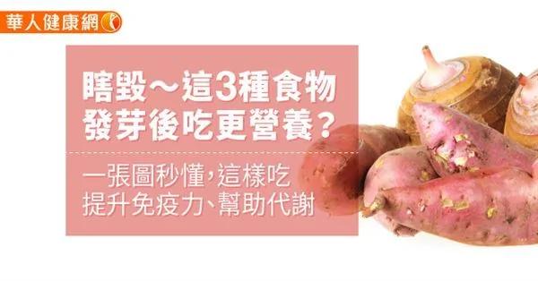 瞎毁〜这3种食物发芽后吃更营养?一张图秒懂 这样吃提升免疫力、帮助代谢