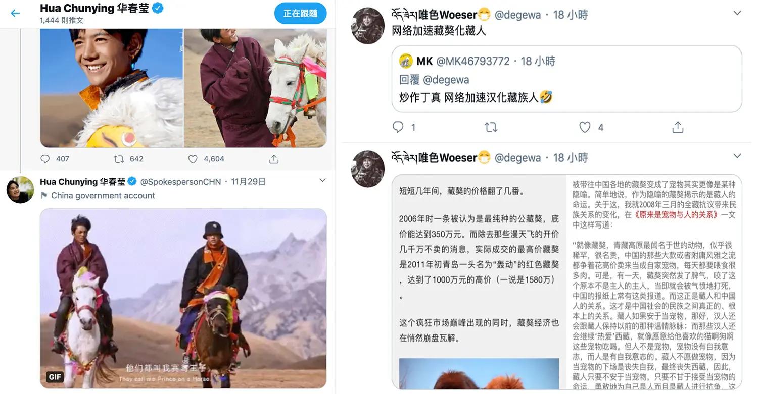 四川藏族丁真爆紅 藏人：中共主導去西藏化的西藏熱