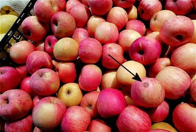 Tratamentul viricose venegar oțet apple reviews, Www.apple otet pentru recenzii varice