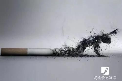 飯後4件事很傷胃 哪怕只占一個 也要儘量改掉(圖集）