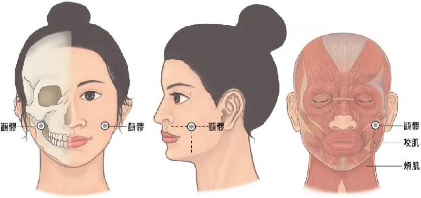 想永保美麗年輕嗎?每天按摩1穴位 淡化法令紋還膨潤蘋果肌 2 想永保美麗年輕嗎?每天按摩1穴位 淡化法令紋還膨潤蘋果肌