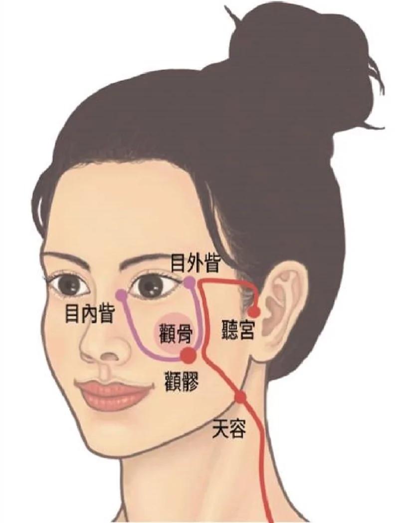 想永保美麗年輕嗎?每天按摩1穴位 淡化法令紋還膨潤蘋果肌 3 想永保美麗年輕嗎?每天按摩1穴位 淡化法令紋還膨潤蘋果肌