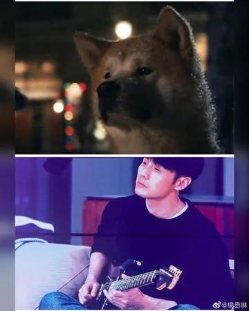 杨丞琳突PO李荣浩照:自己品!网向上看笑「一到深夜就想老公」