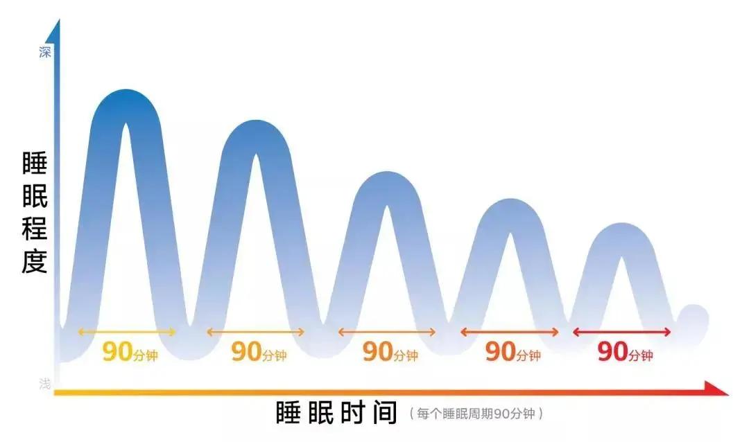 一定要睡够8小时吗?