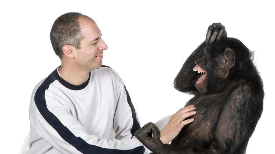 進化論掩藏真相 人和黑猩猩基因差異巨大 1 進化論掩藏真相 人和黑猩猩基因差異巨大