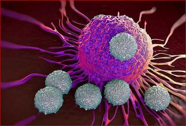 人人都有癌細胞 但不是都罹癌 關鍵8個字