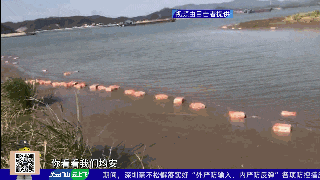 4噸來源不明的豬蹄、雞翅漂浮江面？有人喊朋友來撿…