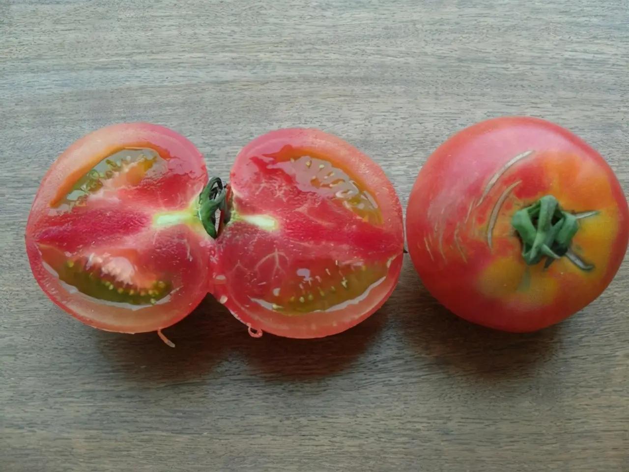西红柿黄瓜各种蔬菜图片素材-编号27199340-图行天下