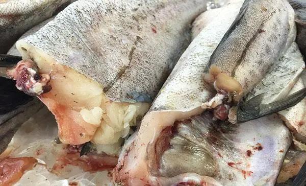 此魚是「一級致癌魚」，吃一斤等於抽100根煙？不知道的還在吃