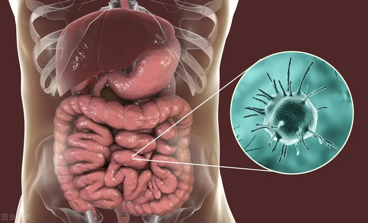 「生活越好，腸癌越多」？警惕腸癌的5大高危因素！別讓它靠近你