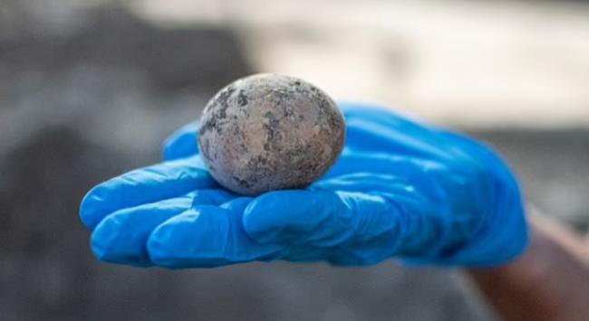 保存完好！以色列發現一枚千年雞蛋