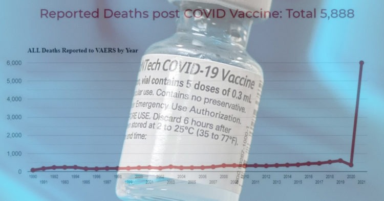 美疾控中心本周追蹤數據：接種疫苗 死亡人數6000 不良反應32萬 【編譯】