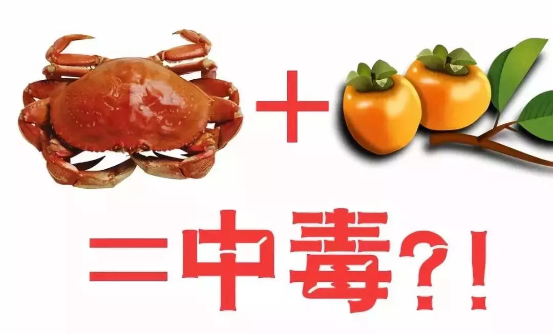 網傳"柿子+螃蟹=毒藥、柿子+牛奶＝結石"！是真是假？