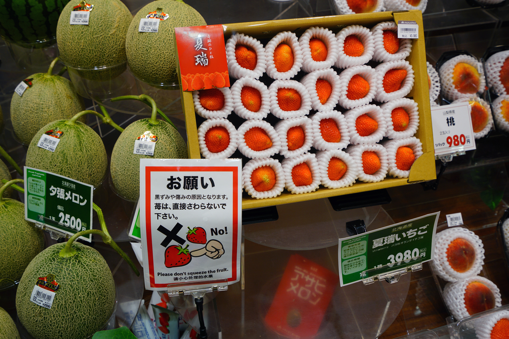 一個哈密瓜要1000多元人民匝！為什麼日本的水果這麼貴？