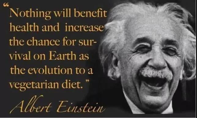見識一下愛因斯坦的文科水平