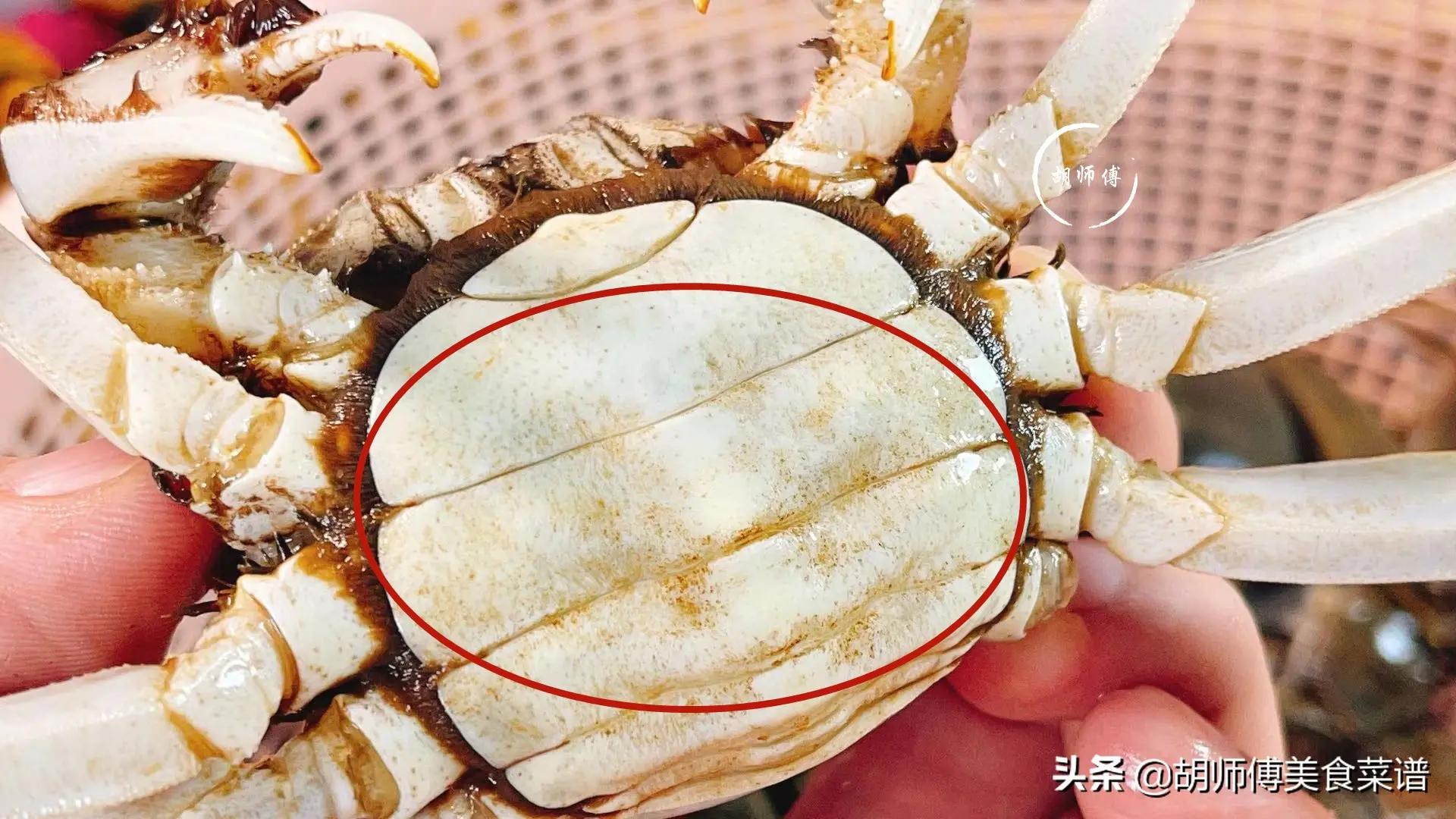 买螃蟹时，内行人从来不买这3种！老渔民：不仅没肉，黄吃著还苦(组图)