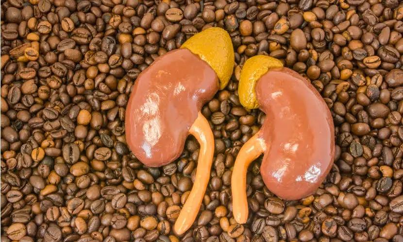 喝咖啡會增加腎臟病風險？有腎功能問題的人可以這樣喝