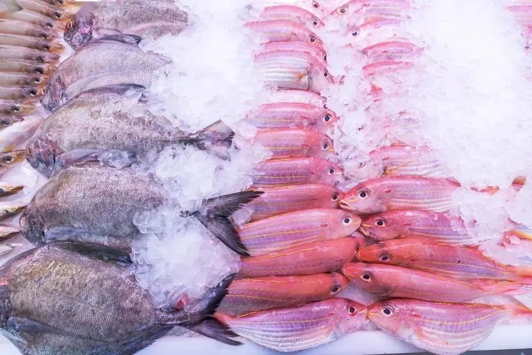 这5种淡水鱼值得多吃！高DHA、EPA，好买又便宜