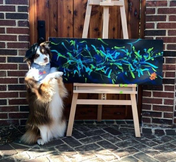 画的啥？美国一只狗画的画卖了约2万美金