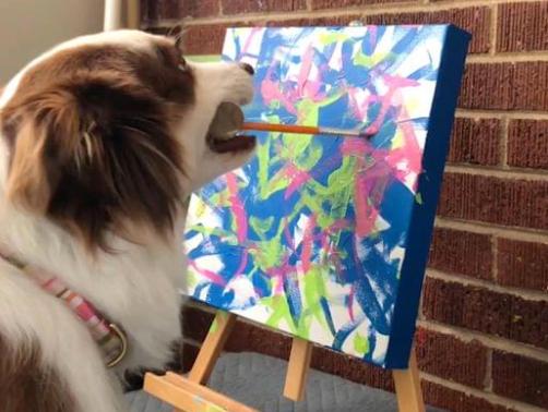 画的啥？美国一只狗画的画卖了约2万美金