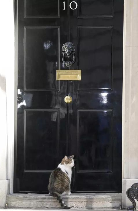 「首席捕鼠官」意外捲入英國首相之爭