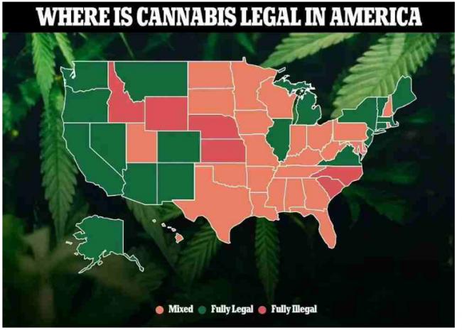 惊！国会要立法全美大麻合法化……