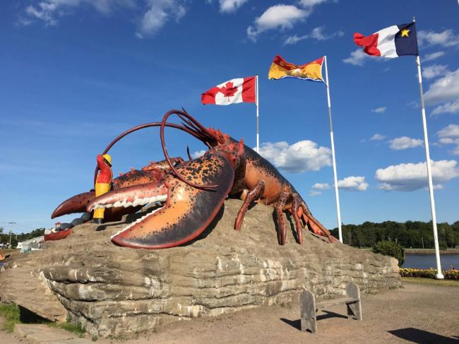 龍蝦價格下跌40%，加拿大漁民拒絕出海捕獲