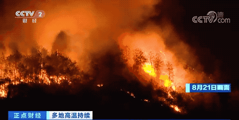 緊急！重慶被山火圍城，最缺的不是水而是油鋸