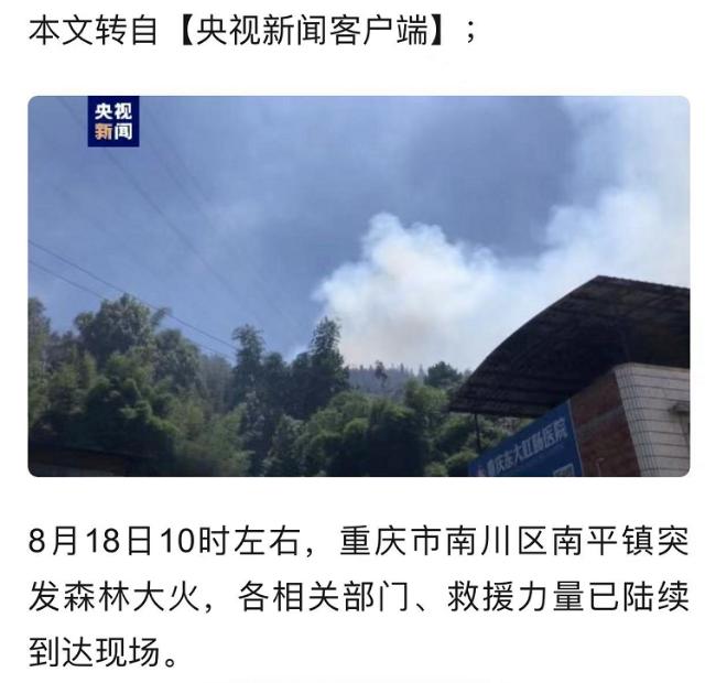 紧急！重庆被山火围城，最缺的不是水而是油锯