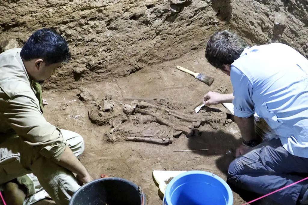 3万年前人骨神秘缺腿 研究曝惊人真相（组图） - 1