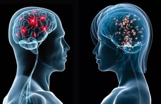 脑科学：揭露男女思考的区别