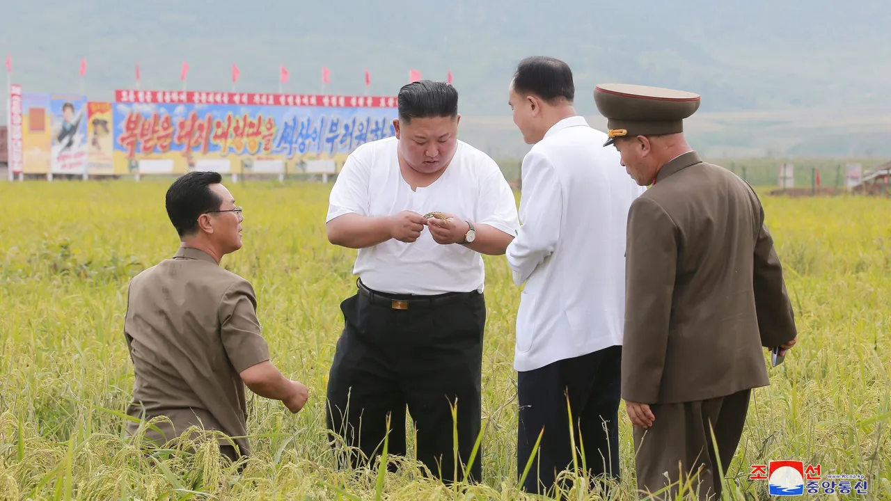饿到不要命了！ 北朝鲜监狱囚犯因缺粮集体越狱