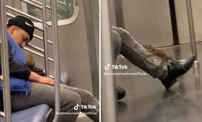 【有片】地铁“巨鼠”爬上身乱窜　地铁男反应令网崩溃：这不是我要的结果！