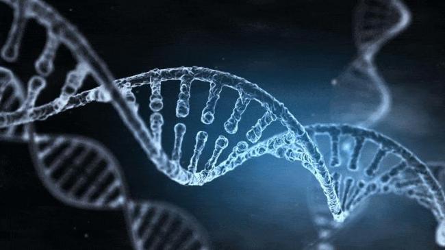 宿命論？最新研究:基因決定你的人生選擇？