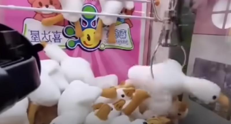 近日一段夾娃娃機店老闆因為「大白鵝」機台與小粉紅吵架的對話在網上掀起熱議。（圖翻攝自YT影片）