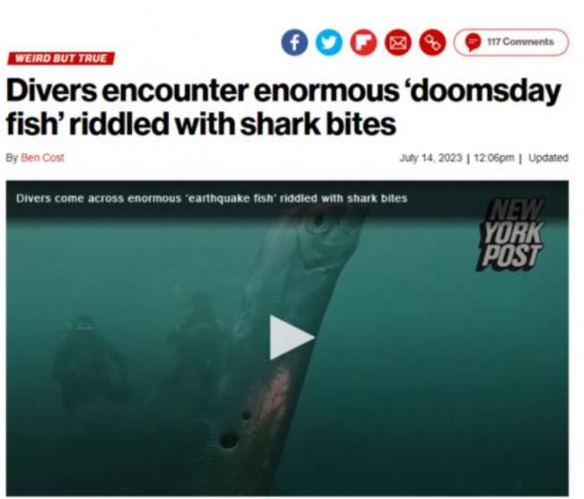 潜水浅海遇罕见“2m地震鱼”：与末日预兆共舞